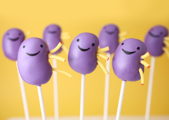 Kidneys